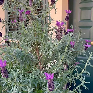 https://a-due-passi-dalla-citta.in-sardinia.net